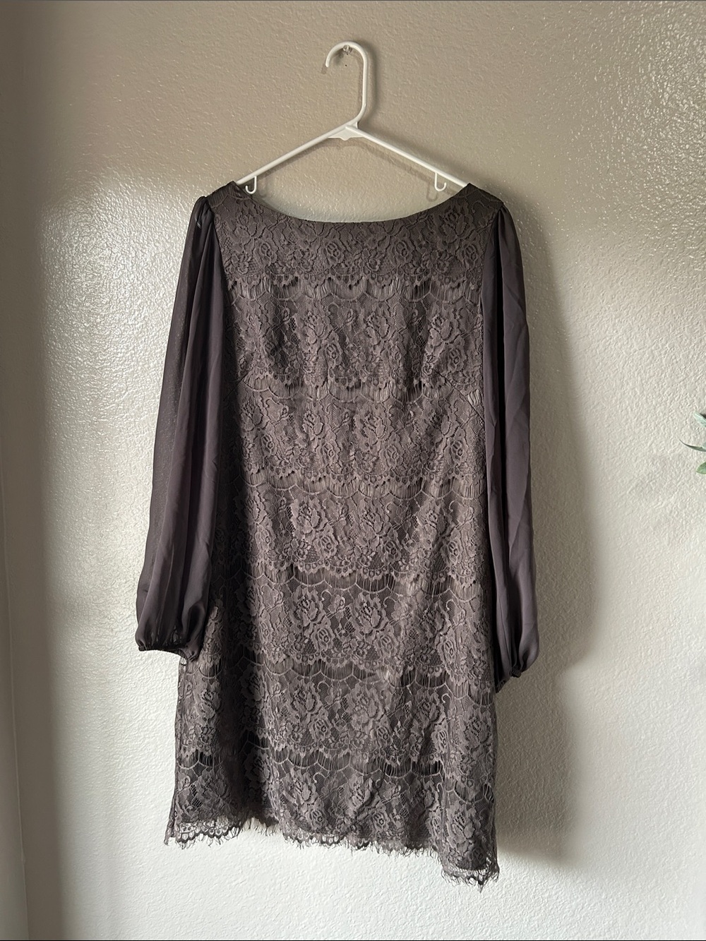 Eliza J Charcoal Lace Long-Sleeve Shift Dress Sz 14  Long Sleeve Chic TC0089